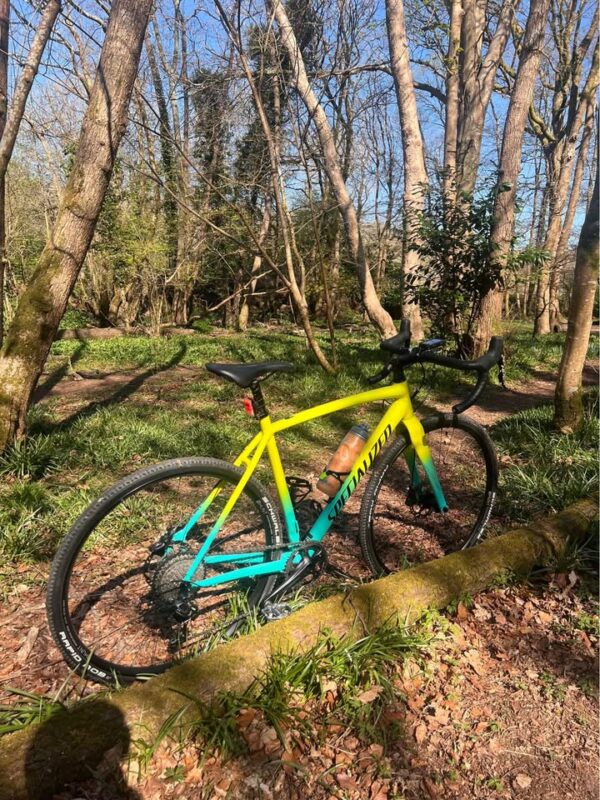 Specialized - Crux 2019 E5 Sport - Team Yellow