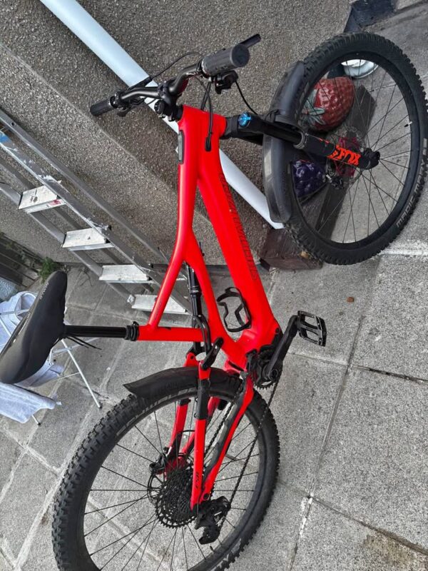 Specialized - Levo - Image 2