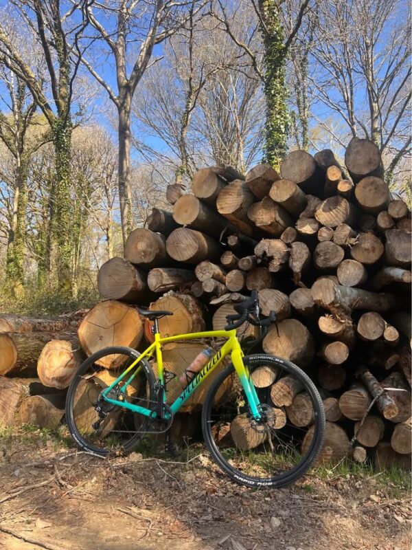 Specialized - Crux 2019 E5 Sport - Team Yellow - Image 3